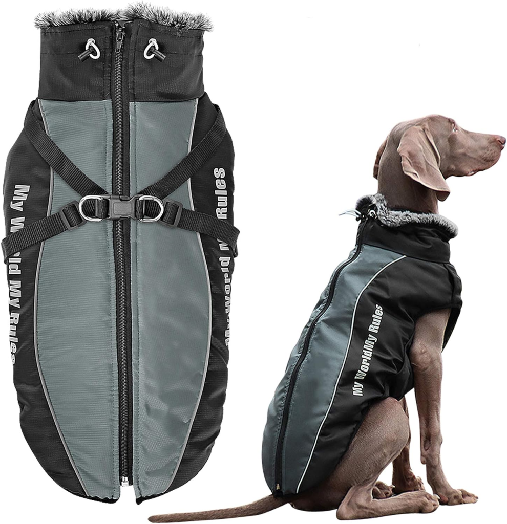  Dog Jacket https://amzn.to/3ETeVpH